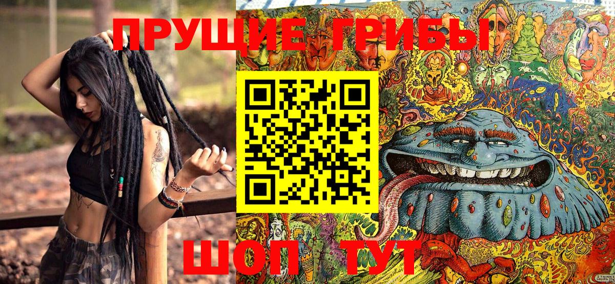 Галлюциногенные грибы прущие грибы Отрадный